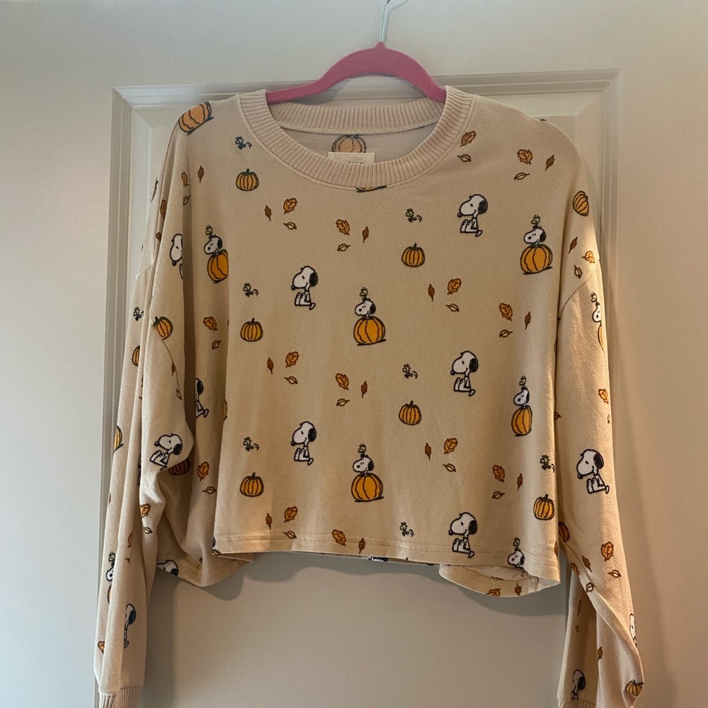 American eagle fall snoopy pajama set